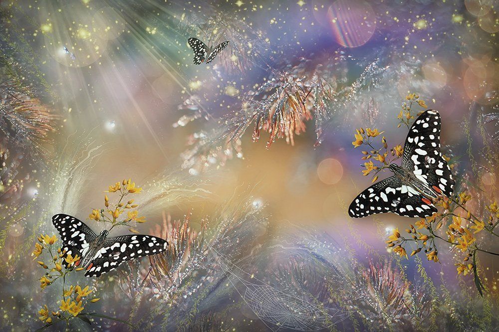 И наши сны, цветными искрами, летели в мир...