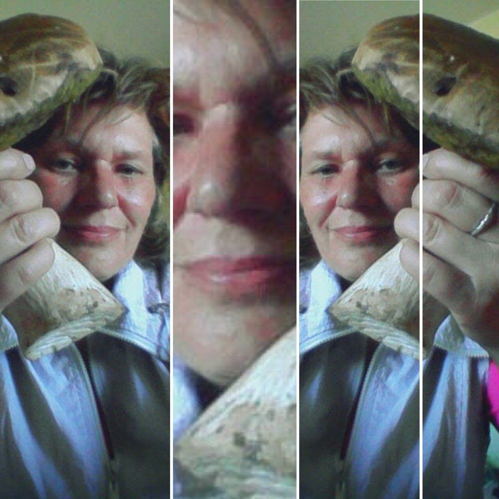 Photograph by Елена