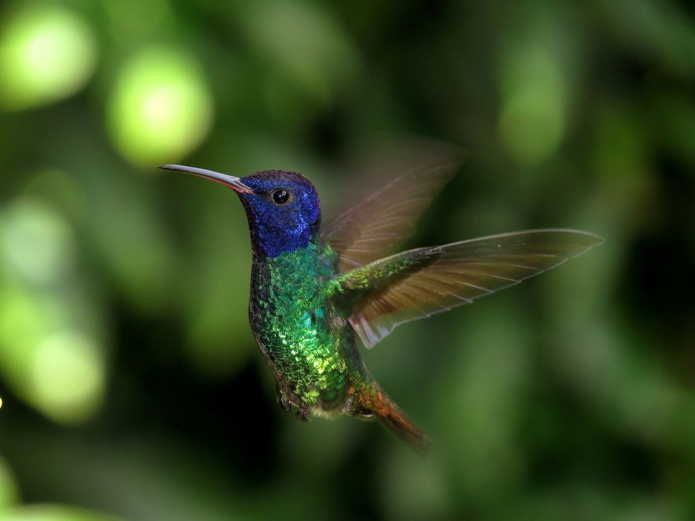 detenido en el instante