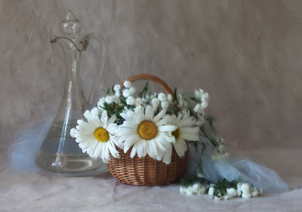 Фотография автора Марина Кулакова