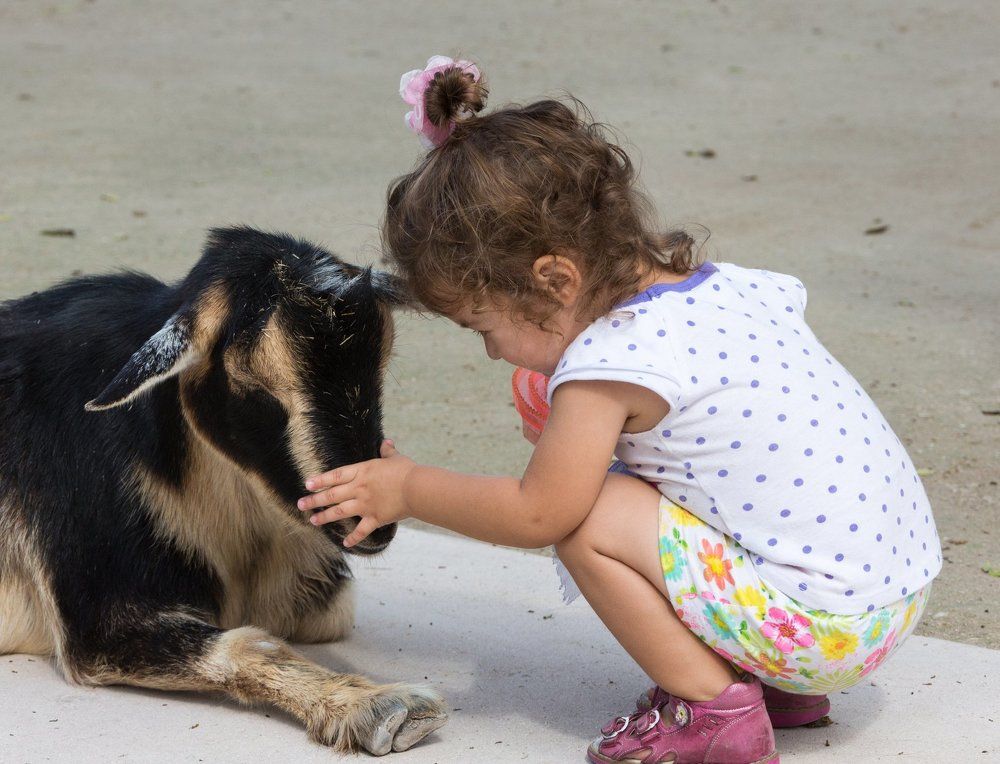 Знакомство