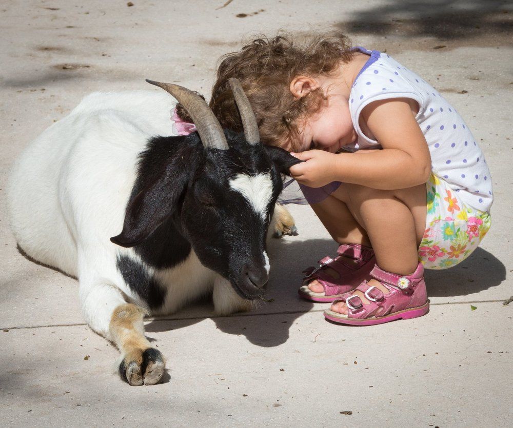 Братец Иванушка