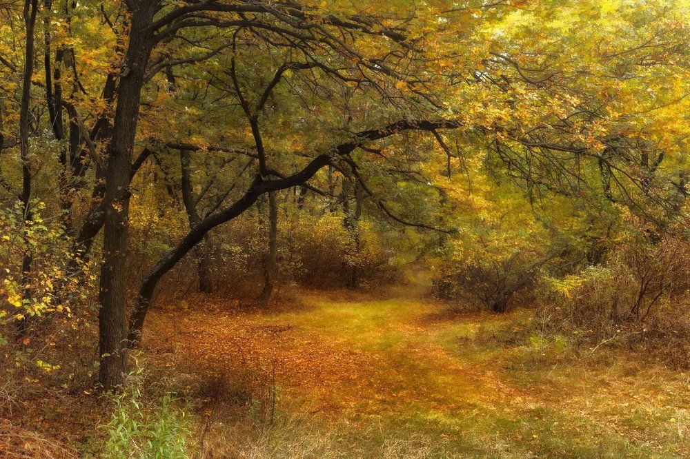 Осенняя пора.