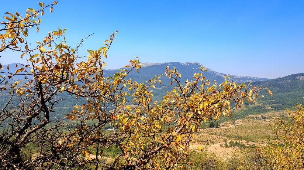 Золото Тавриды