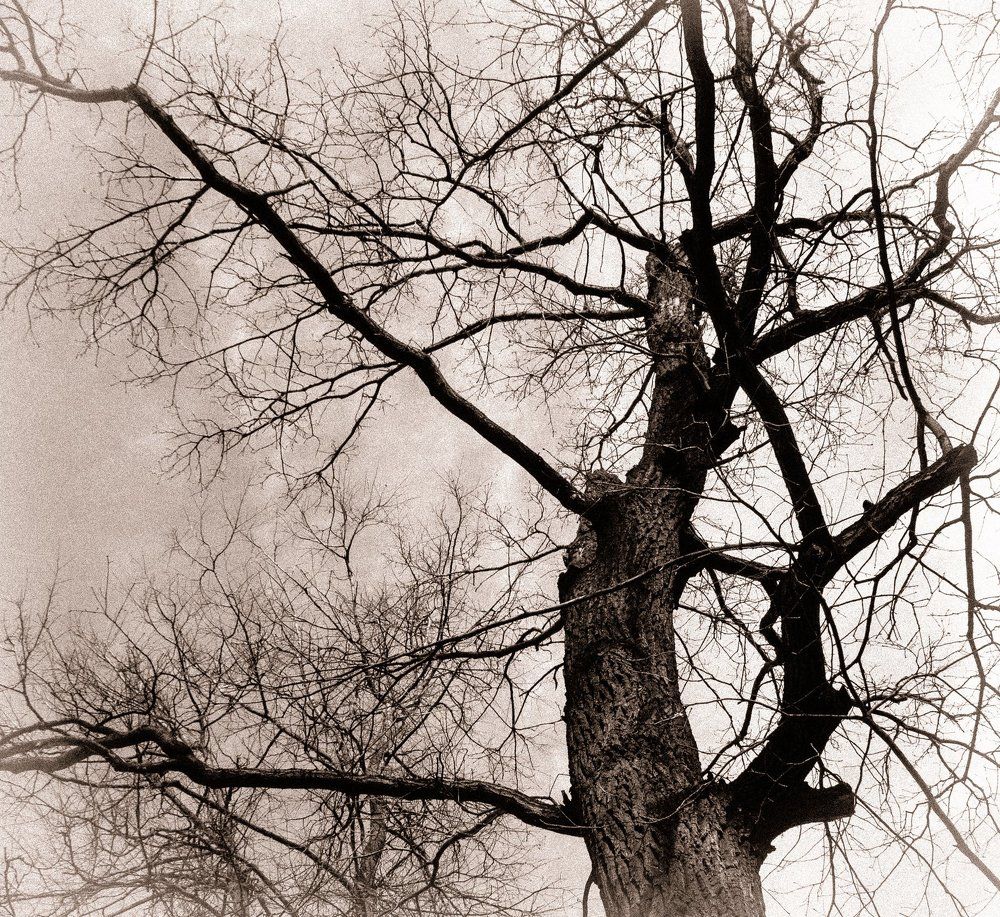 Устремление