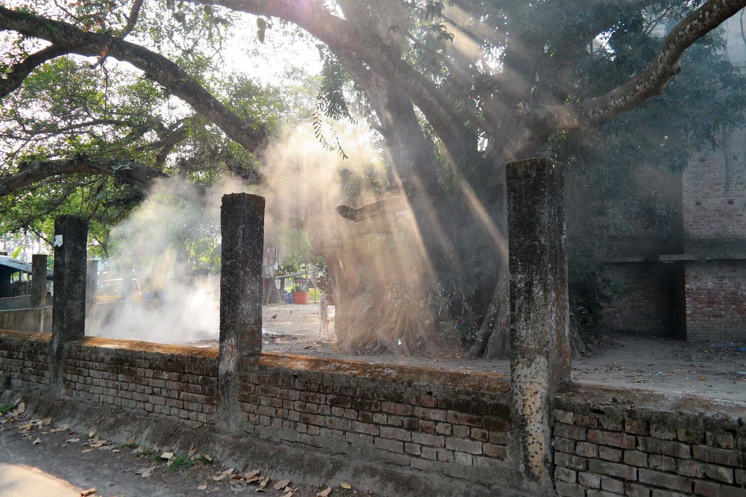 Sun Ray...