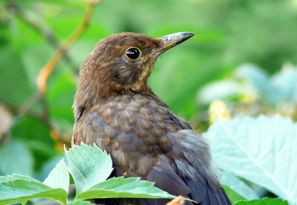 Отражаясь в ее глазах