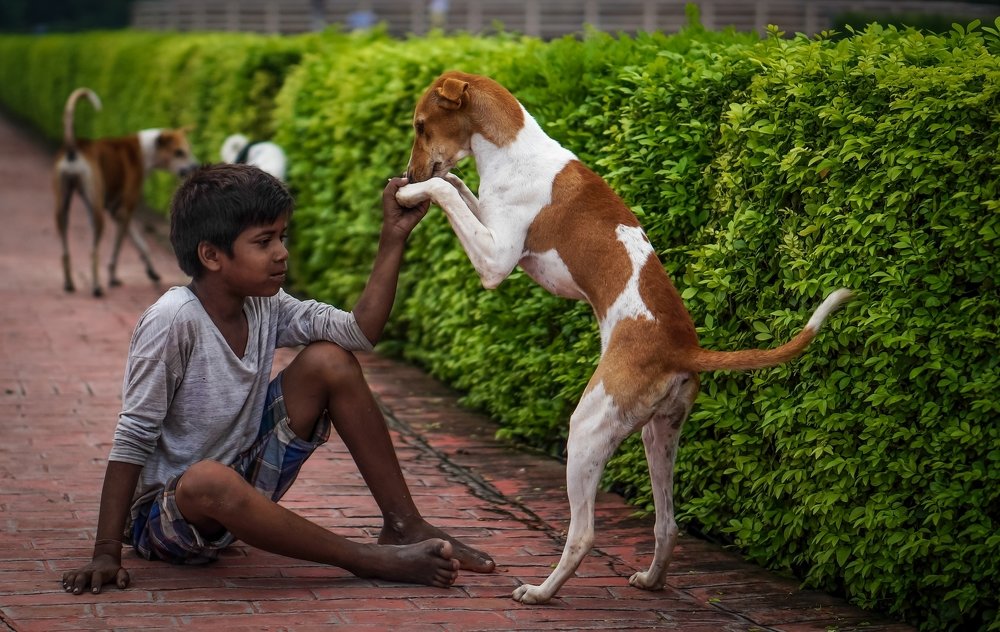 Unconditional Friendship