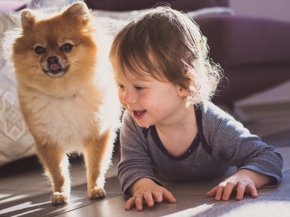 Photograph by Jekaterina Feldsteine