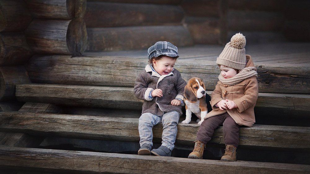 Елисейка с друзьями