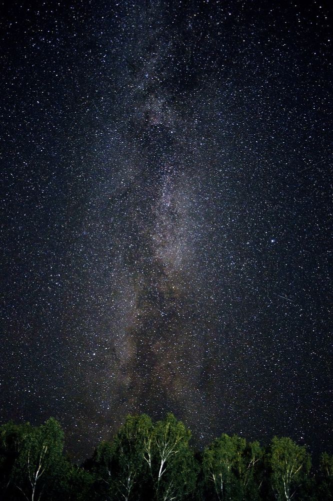The milky way galaxy