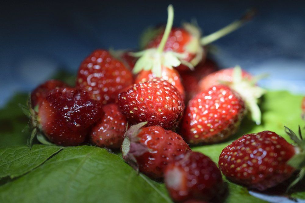 Клубника во тьме