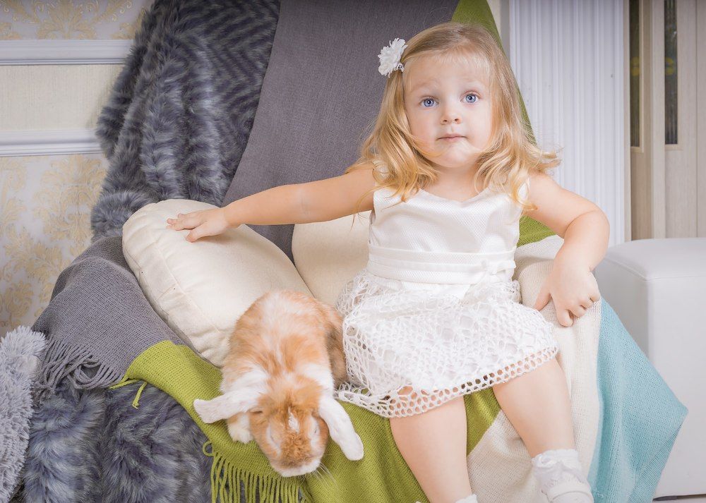 Photograph by Шрайбикус Павел