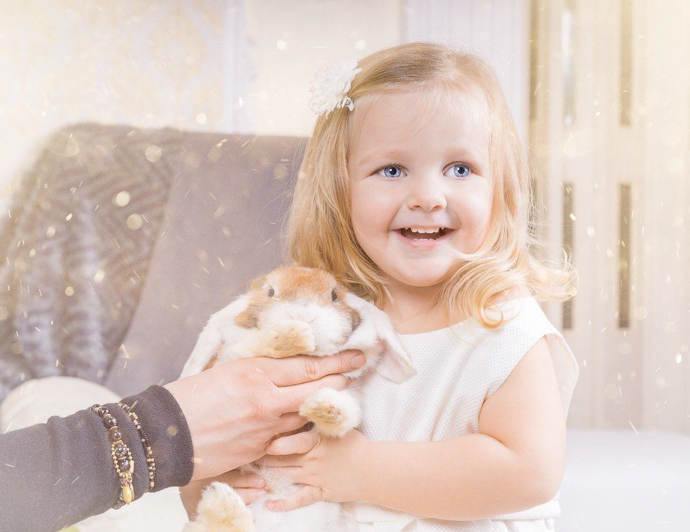 Photograph by Шрайбикус Павел