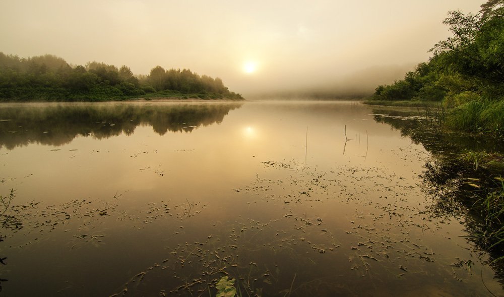 Теплое туманное утро