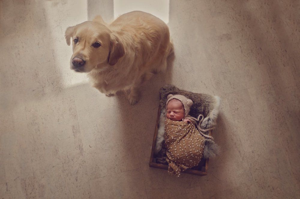 Лучший друг