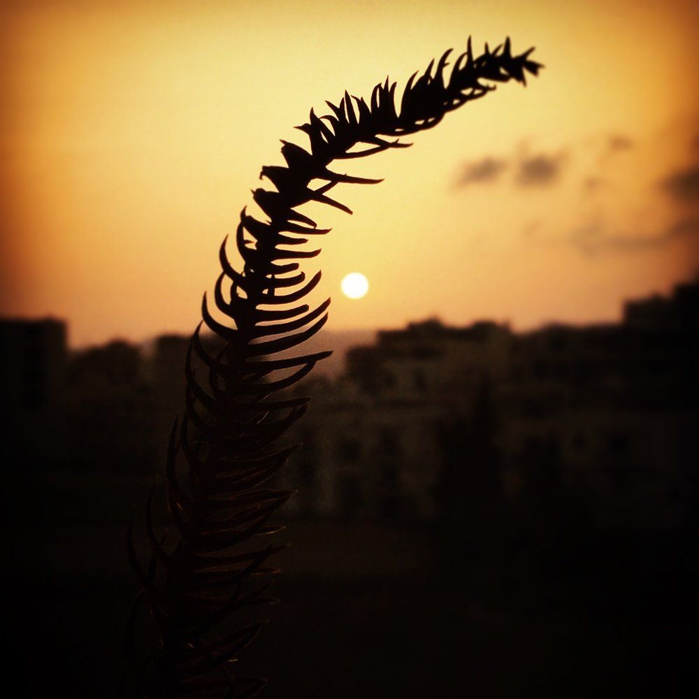 Sunset in Malta