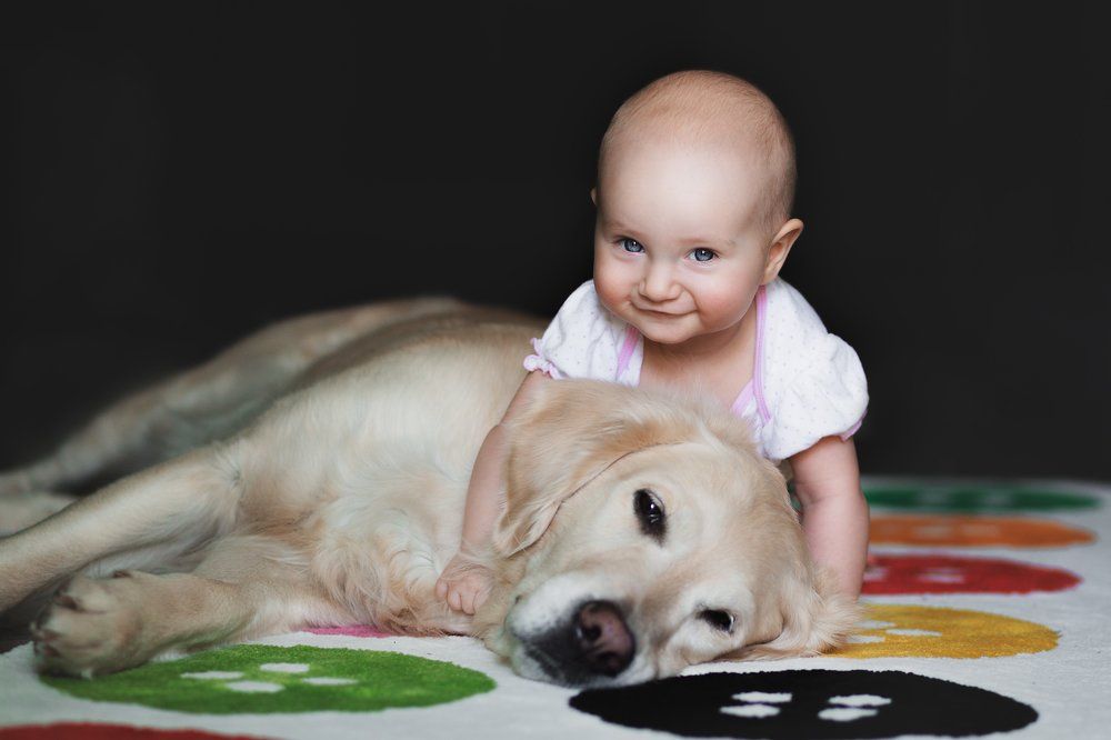 Мой большой пёс