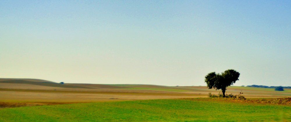 Photograph by Фомин Тимофей