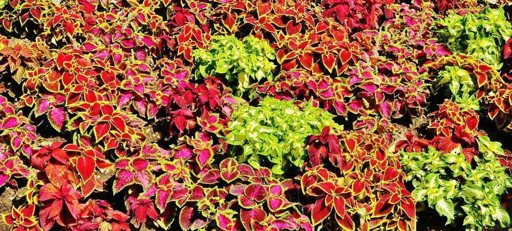 Photograph by Фомин Тимофей