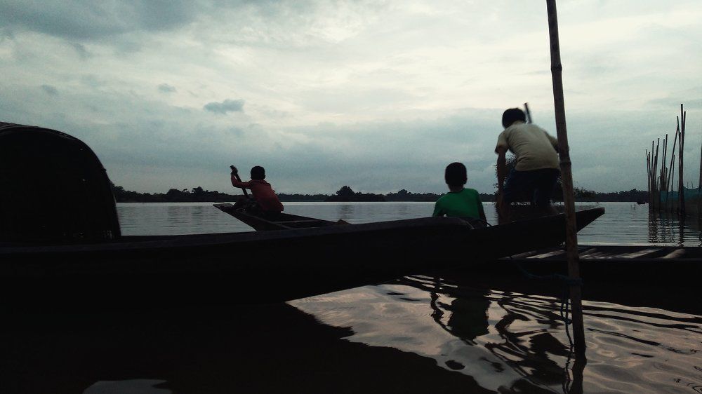 Life in wetland