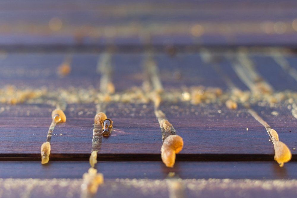 Прощание лета