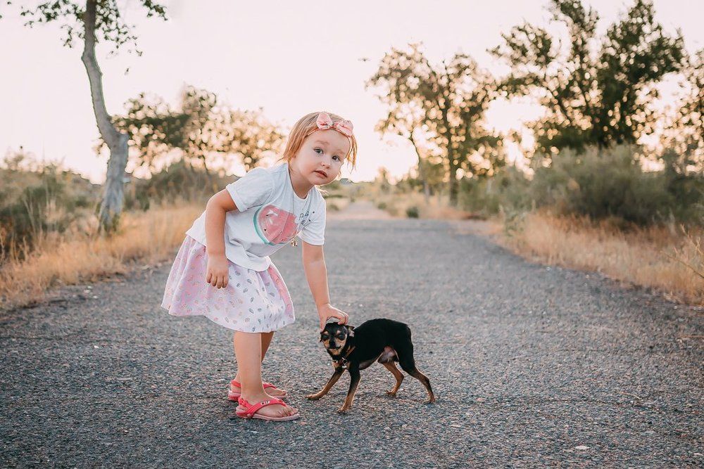 Фотография автора Дарья Шевченко