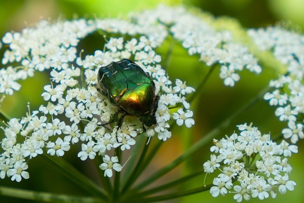 Photograph by Андрей