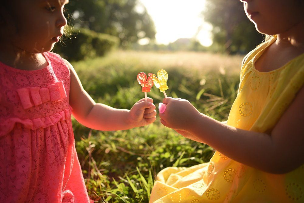 Фотография автора Дарья Шевченко