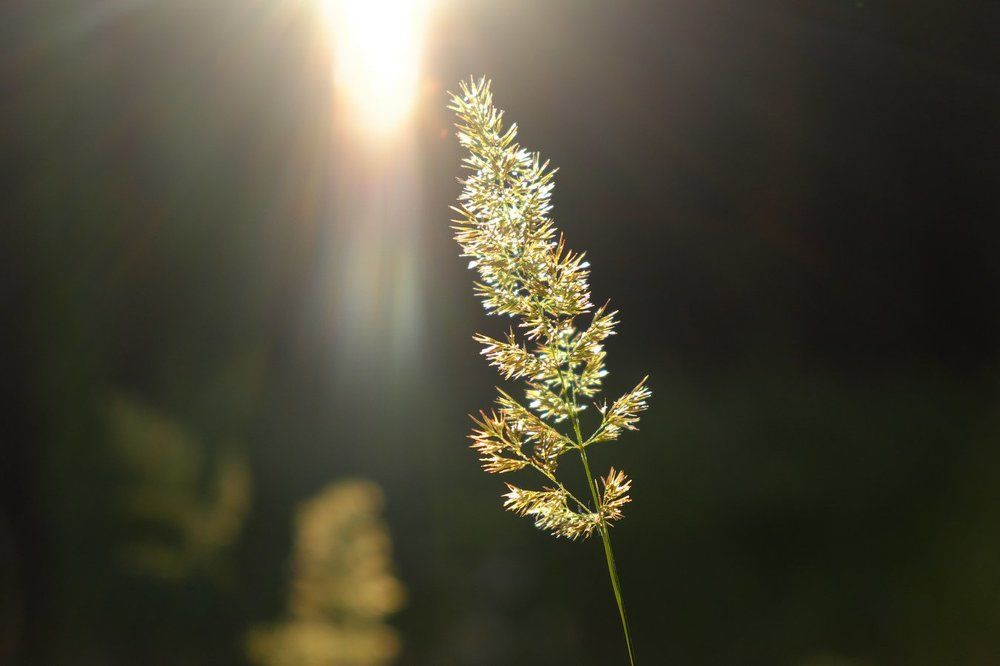 Photograph by Андрей