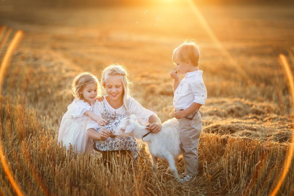 Лето в деревне