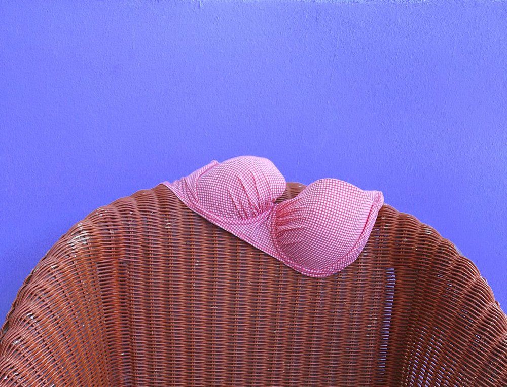 stillife with purple