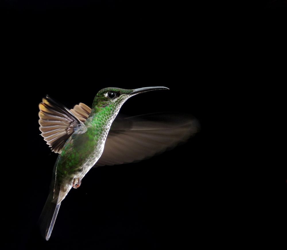 detenido en la obscuridad
