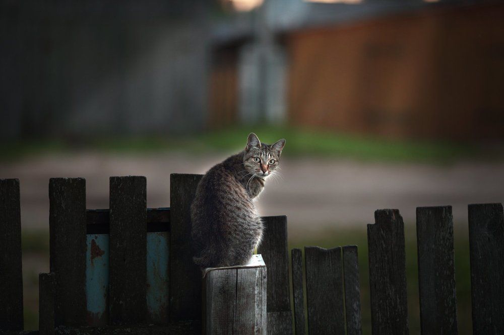 Мне это не нравится...