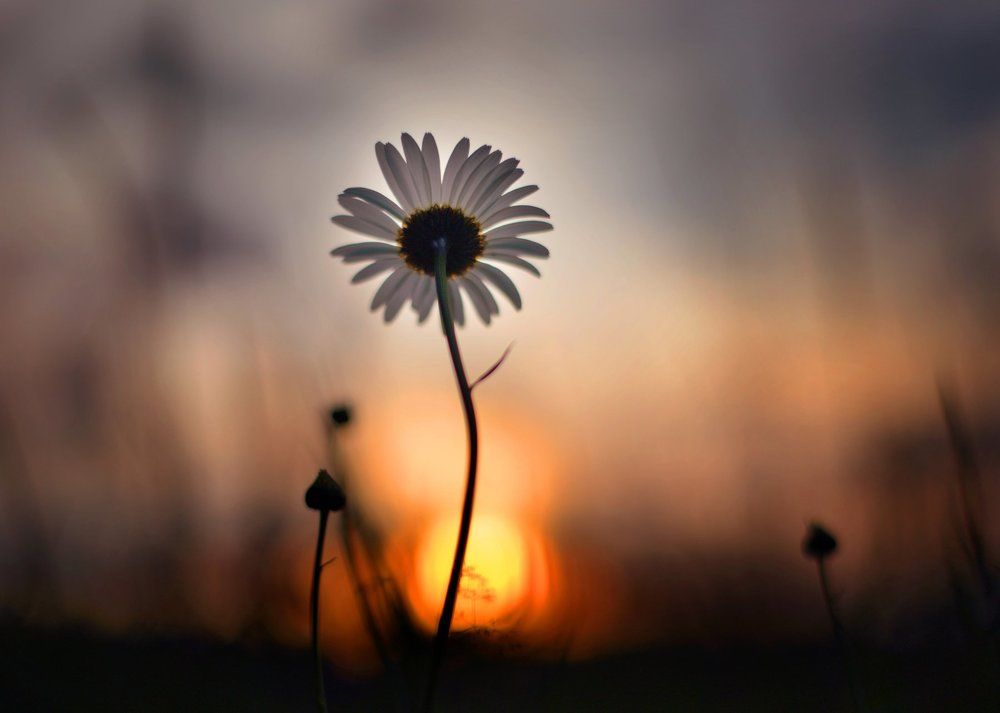 До завтра...