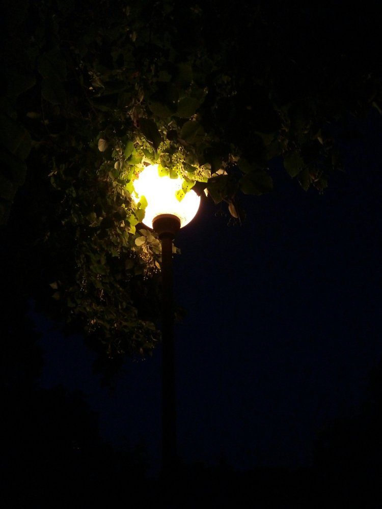 Photo #1910528