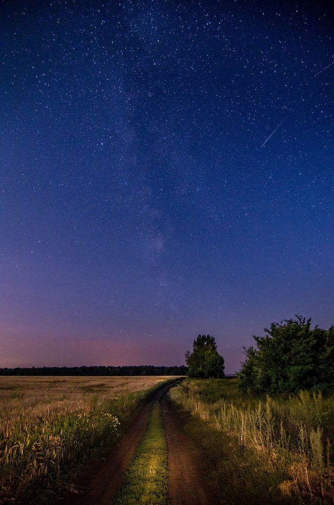 По дороге ночью в поле
