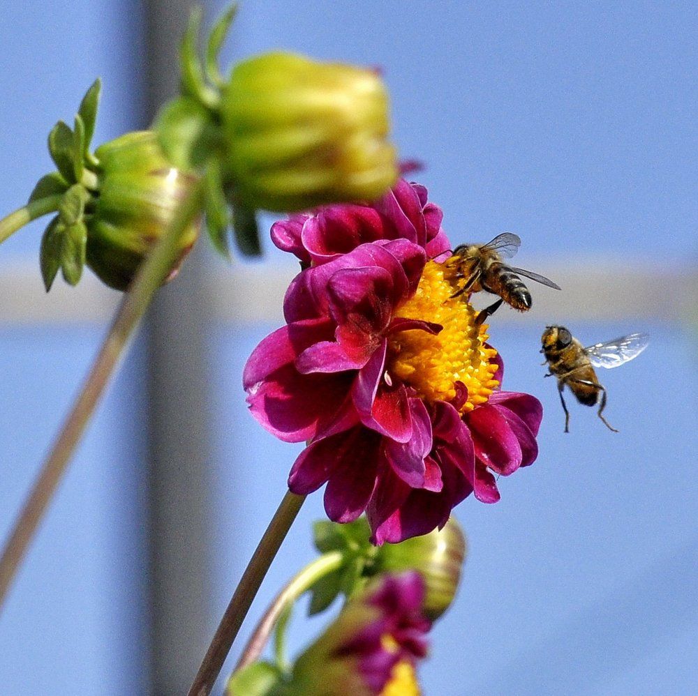 Конкуренция.