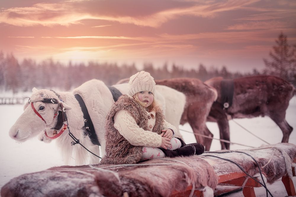 Photograph by FirsovaViktoriya