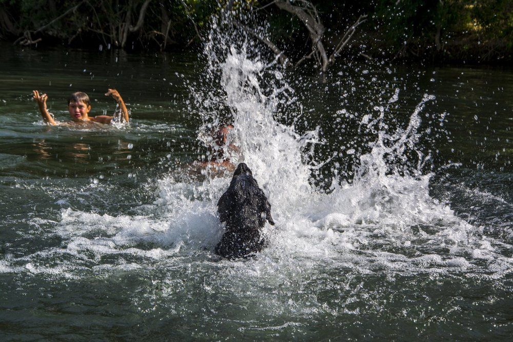 Поймай брызги!