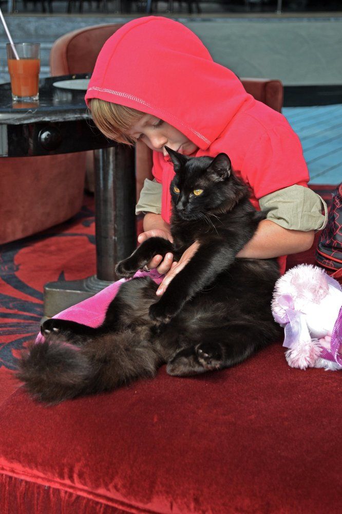 Терпеливый товарищ