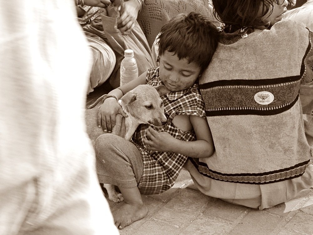 Street friends