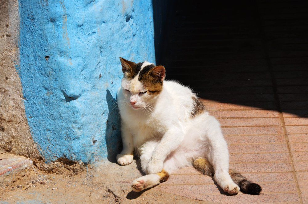 Нет настроения....