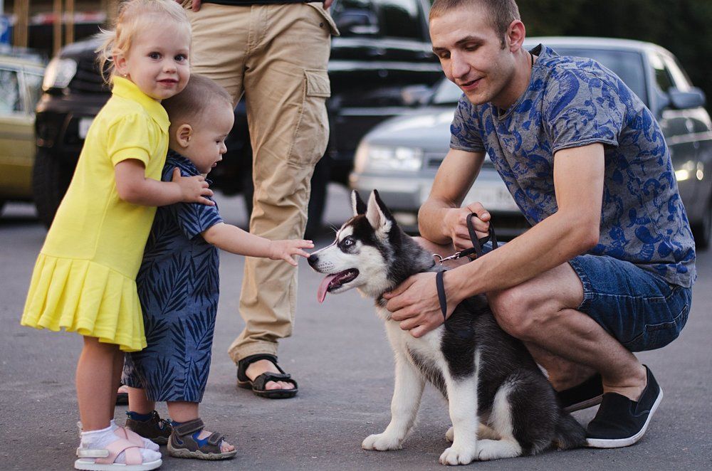 Кто тут такой?