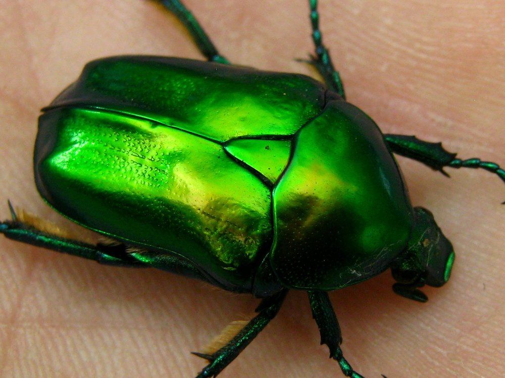 Photograph by Андрей