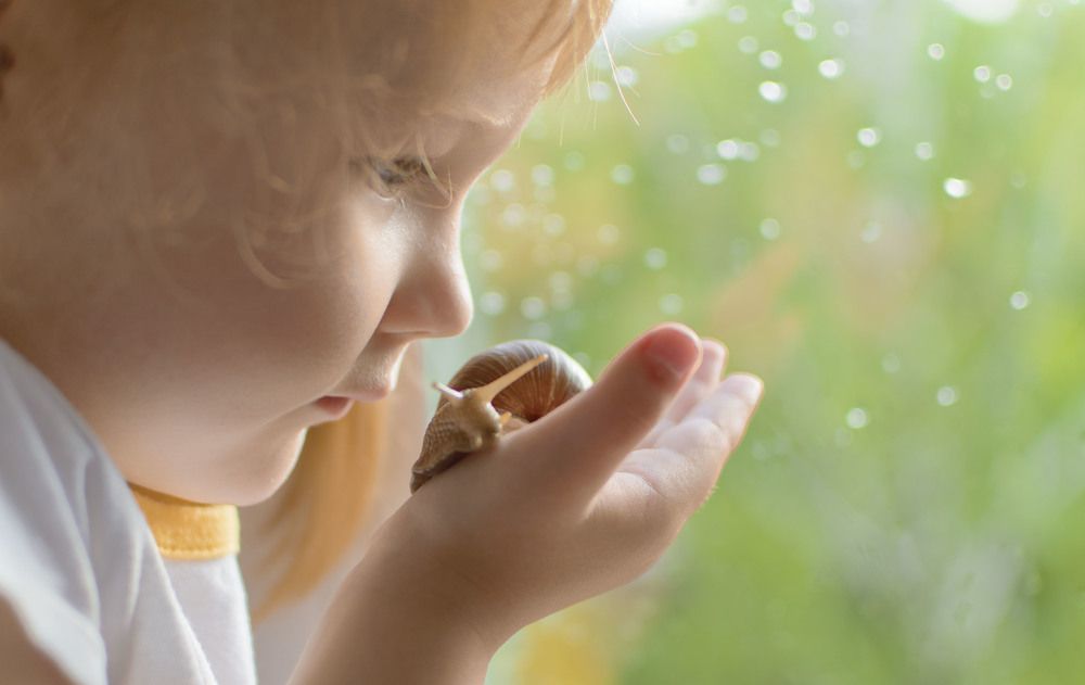 Полёт улитки