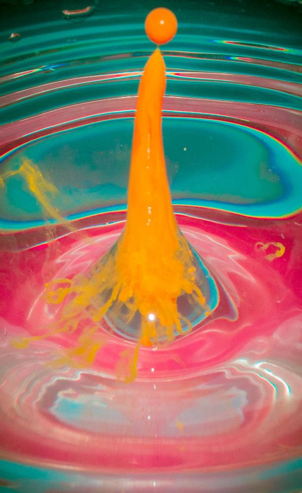 Фотография автора Сергей Сморчков