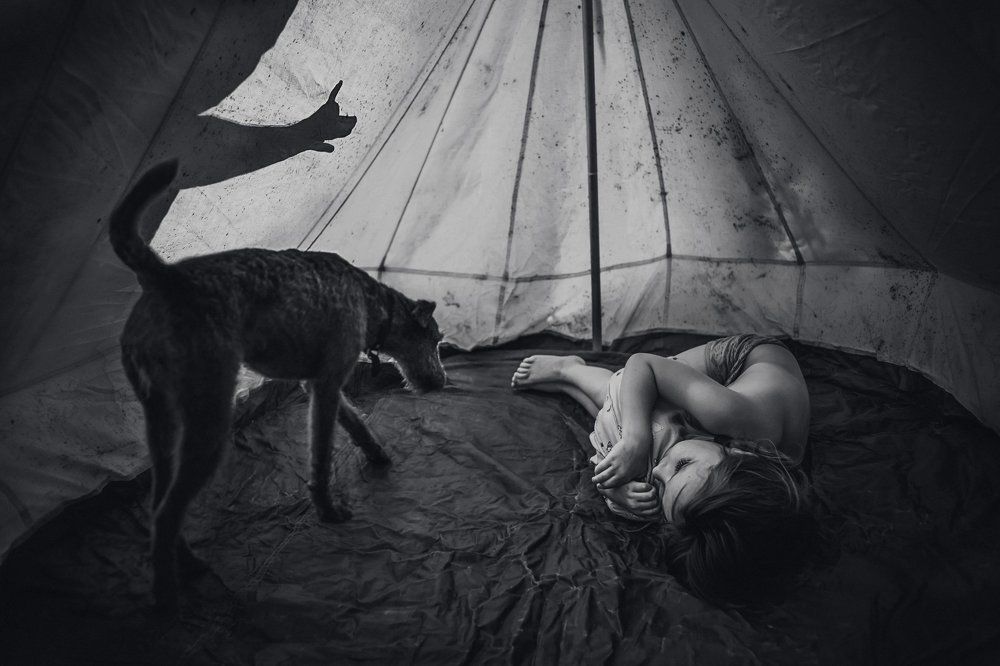 Такие разные собаки