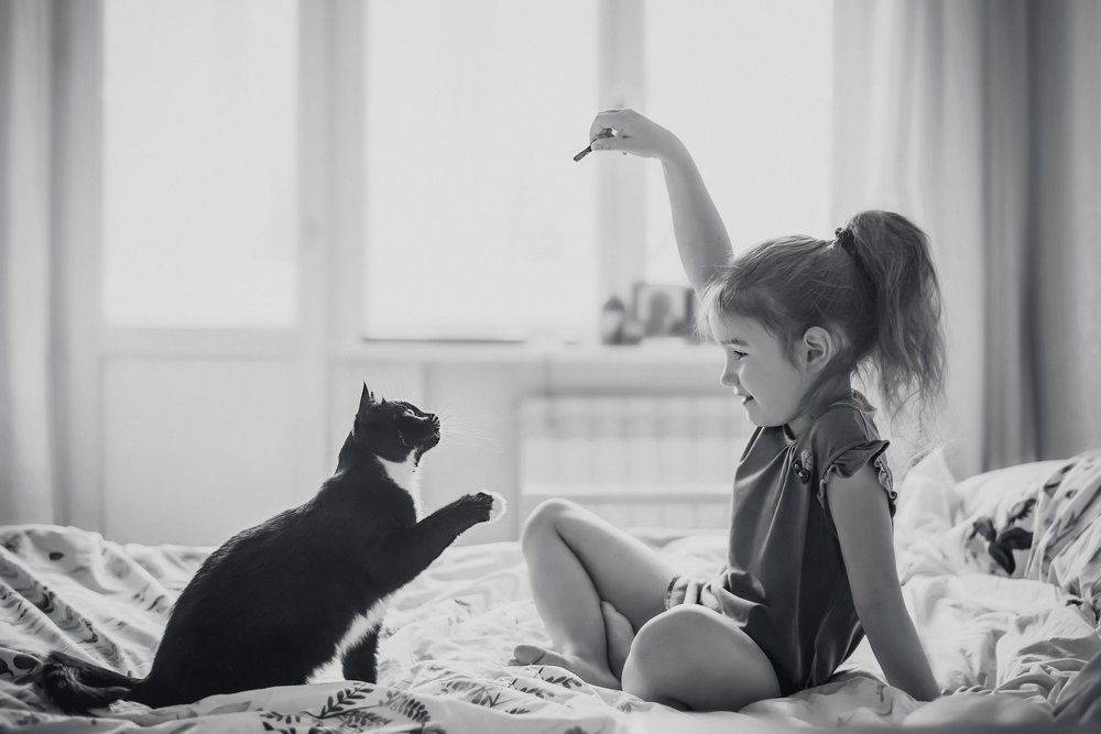 Завтрак надо заслужить