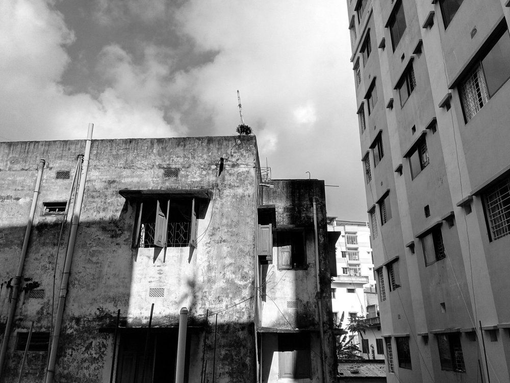 Photo #1911628